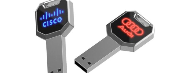 Factors to Consider Before Purchasing Customized USB Drives