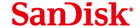 Sandisk Supplier China